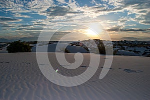 Footprints in the White Sands Dunes National Park New Mexico