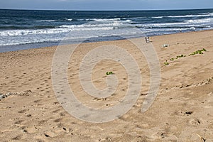 Footprints on Wide Stretch of Beach with Deep Blue Sea