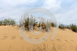 Footprints in the yellow sand