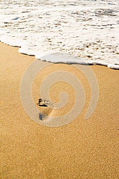 Footprints on the yellow sand flooded with sea waves