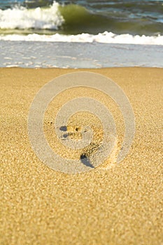 Footprints on the yellow sand flooded with sea waves