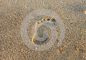 Footstep on beach sand