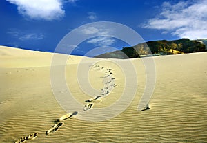 Footstep in the sand dunes photo