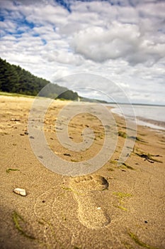 Footstep on the sand