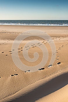 Footstep on the sand