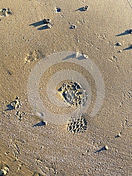 Footstep in the sand takes you to the future