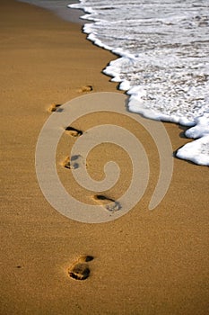 Footstep on the sandy indian beach photo