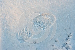 A Footstep In The Snow 2