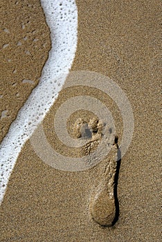 Footstep and Wave