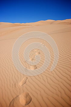 Footsteps Across Sand Dunes