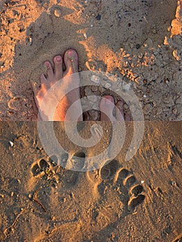 Footsteps on beach