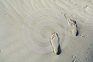 Footsteps on the beach by the sea in summer. Horizontal view of