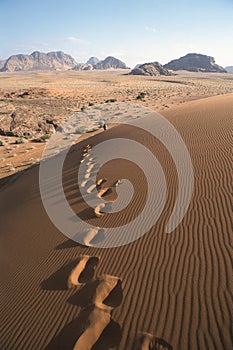 Footsteps in the dunes