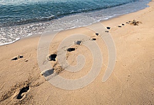 Footsteps on a sandy gold beach and sea water