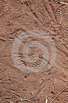 Footsteps on ground - pattern people marks