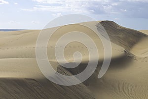 Footsteps in the Maspalomas sand dunes