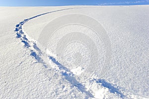 Footsteps in new snow