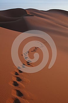 Schody v poušť 
