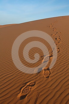 Footsteps in the Sahara Desert