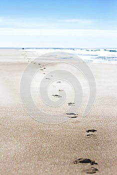 Footsteps in the sand