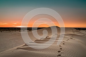 Footsteps in the sand of a dune in the Mungo National Park desert just as the sunset