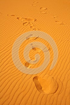 Footsteps on sand dunes