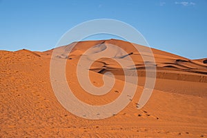 Footsteps with sand dunes in desert on sunny summer day against clear sky