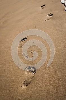 Footsteps in sand. Footprints on the beach. Walk concept. Human steps on the seashore. Summer vacation.