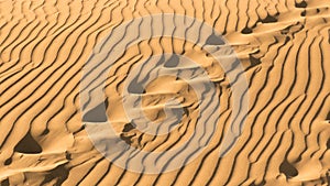 Footsteps in the sand photo