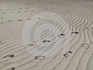 Footsteps on sand. Pegadas na areia. photo