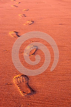 Footsteps in the sand