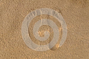 Footsteps on the sand