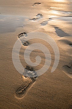 Footsteps in sand at sunset. Beautiful sandy tropical beach with footprints on the shore background.