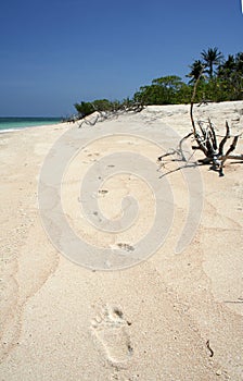 footsteps in the sand tropical beach philippines