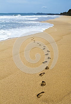 Footsteps in Sand with Water