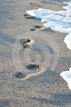 Footsteps in the sands suggesting new life paths or ways photo