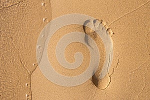 Footsteps in sandy on the beach