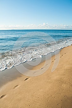 Footsteps on the Sandy beach