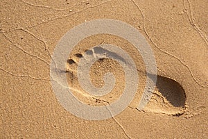 Footsteps in sandy on the beach