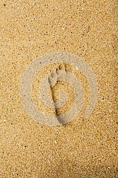 Footsteps in sandy on the beach