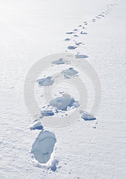 Footsteps on the snow