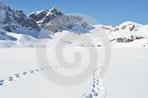 Footsteps on the snow