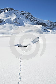 Footsteps on the snow