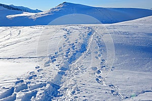 Footsteps on the snow in the Alps