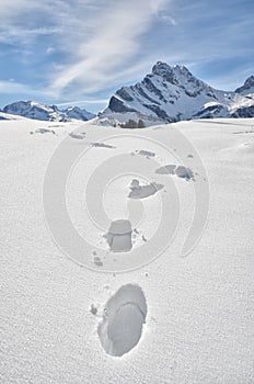Footsteps on the snow