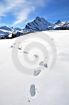 Footsteps on the snow