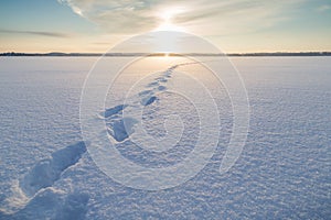 Footsteps on snow at a frozen lake