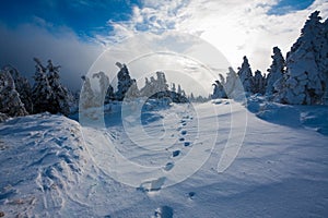 Footsteps in snowbound landscape photo