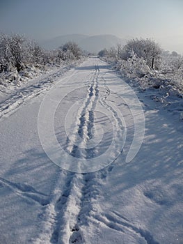 Footsteps on snowy road