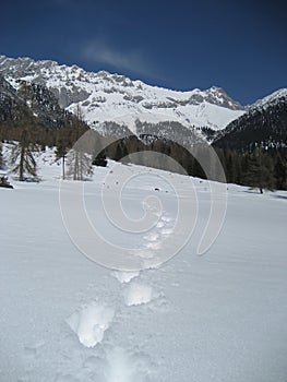 Footsteps in Tirol / Tyrol